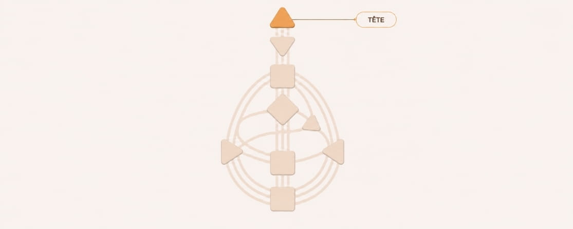 centre tête design humain